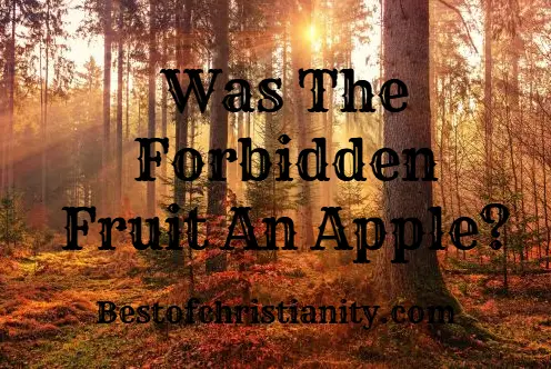 Was The Forbidden Fruit An Apple