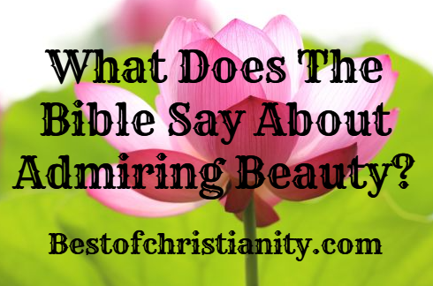 What Does The Bible Say About Admiring Beauty