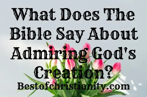 What Does The Bible Say About Admiring God's Creation