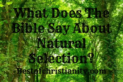 What Does The Bible Say About Natural Selection