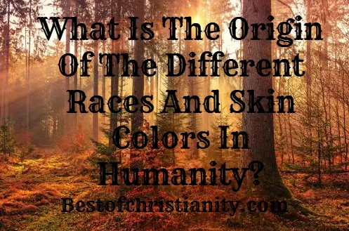 What Is The Origin Of The Different Races And Skin Colors In Humanity
