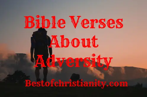 Bible Verses About Adversity