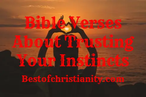 Bible Verses About Trusting Your Instincts