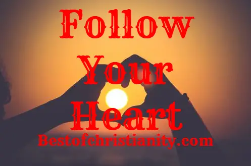 Follow Your Heart