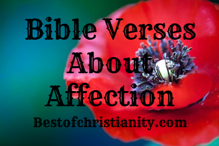 Bible Verses About Affection