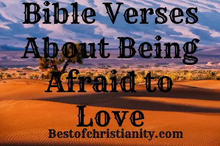 Bible Verses About Being Afraid to Love