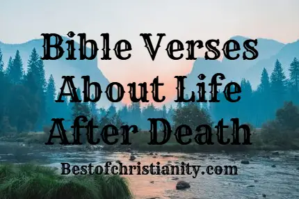 Bible Verses About Life After Death