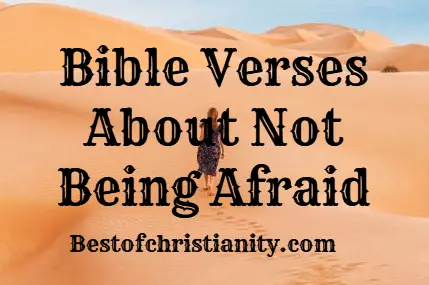 Bible Verses About Not Being Afraid