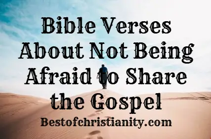 Bible Verses About Not Being Ashamed to Share the Gospel