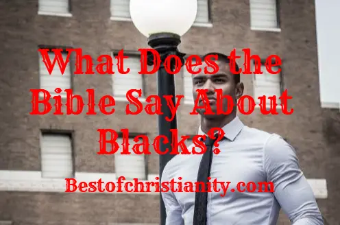 What Does the Bible Say About Blacks?