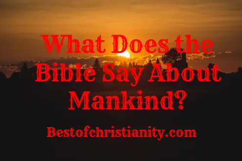 What Does the Bible Say About Mankind