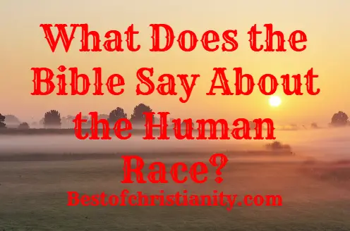 What Does the Bible Say About the Human Race?