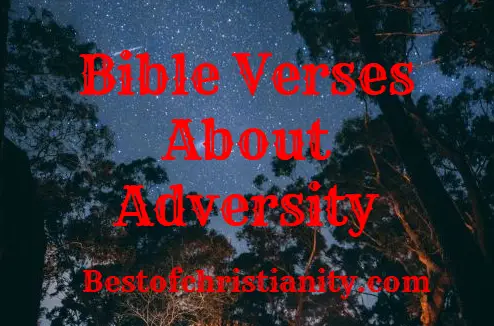 Bible Verses About Adversity
