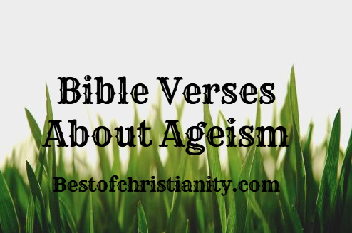 Bible Verses About Ageism