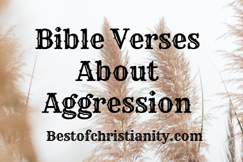 Bible Verses About Aggression