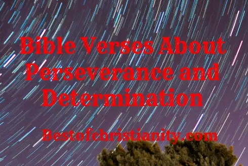 Bible Verses About Perseverance and Determination