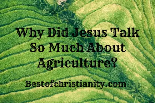 Why Did Jesus Talk So Much About Agriculture