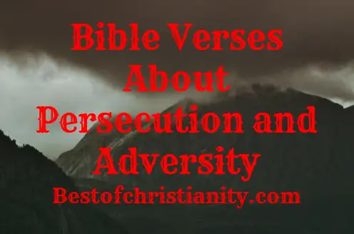 Bible Verses About Persecution and Adversity