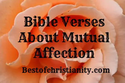 Bible Verses About Mutual Affection