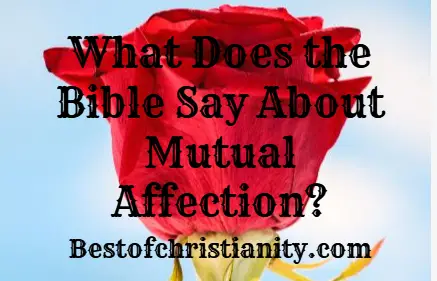 What Does the Bible Say About Mutual Affection