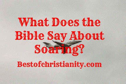 What Does the Bible Say About Soaring