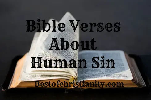 Bible Verses About Human Sin