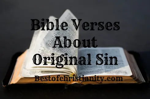 Bible Verses About Original Sin