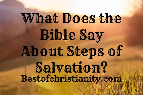 What Does the Bible Say About Steps of Salvation